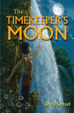 Book cover of The Timekeeper's Moon