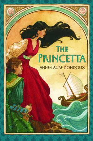 Cover of the book The Princetta by Terry Deary