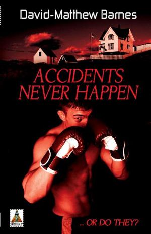 Cover of the book Accidents Never Happen by Gina Dartt