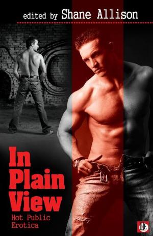Cover of the book In Plain View: Gay Public Sex by Melissa Collins