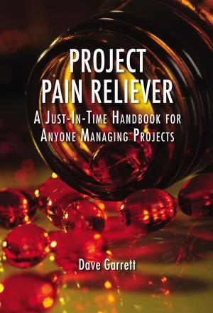 Cover of the book Project Pain Reliever by Paul Sanghera