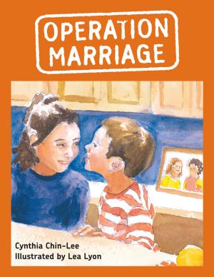 Cover of the book Operation Marriage by Thomas Schmidinger, Andrej Grubacic