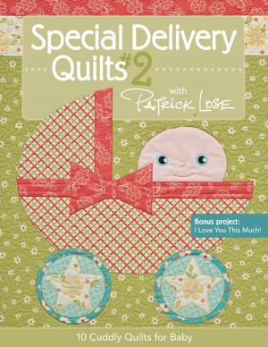 Book cover of Special Delivery Quilts #2 with Patrick Lose