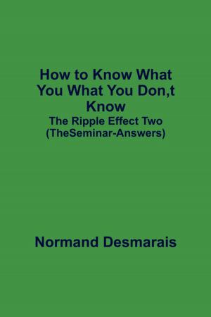Cover of the book How to Know What You What You Don,t Know by Jon Webster