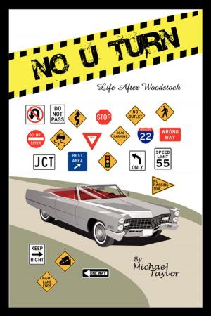 Cover of the book No U Turn by Mariena Foley
