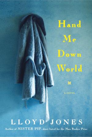 Cover of the book Hand Me Down World by Barbara Freyer Stowasser