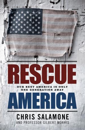 Book cover of Rescue America: Our Best America Is Only One Generation Away