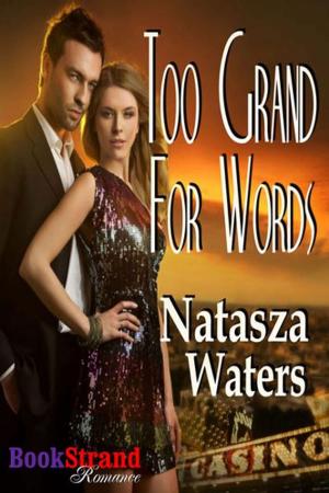 Cover of the book Too Grand for Words by J. Rose Allister