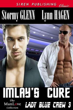 Cover of the book Imlay's Cure by Christelle Mirin