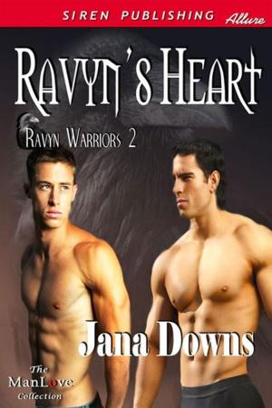 Cover of the book Ravyn's Heart by David Stern