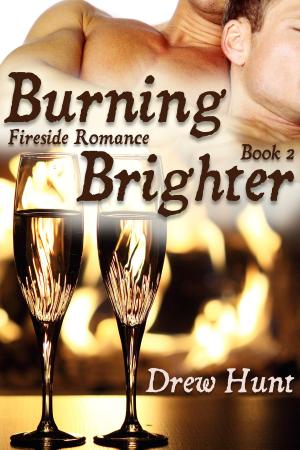 Cover of the book Fireside Romance Book 2: Burning Brighter by Vincent Diamond