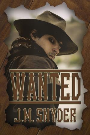Cover of the book Wanted by Matthew Scrivens