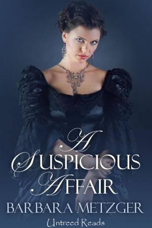 Cover of the book A Suspicious Affair by E. Lynn Hooghiemstra