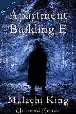 Cover of the book Apartment Building E by Tom Deitz