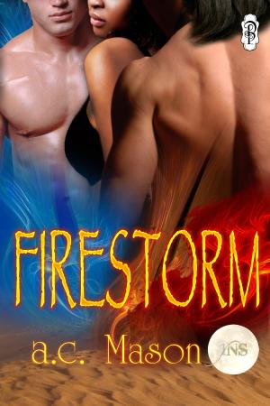 Cover of the book Firestorm by Sara McBride