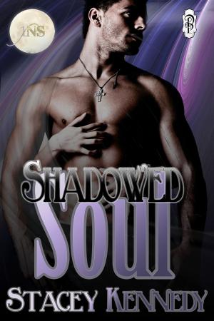 Cover of the book Shadowed Soul by Rachel Jakes