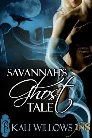 Cover of the book Savannah's Ghost Tale by Luke Braun
