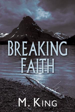 Cover of the book Breaking Faith by Andrew Grey