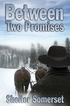 Cover of the book Between Two Promises by Louise Blaydon