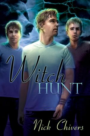 Cover of the book Witch Hunt by Jonathan Gould