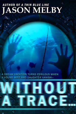 Cover of Without a Trace… (A Novel of Suspense)