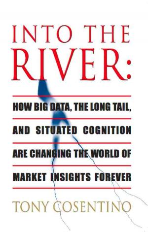 Cover of the book INTO THE RIVER: How Big Data, the Long Tail and Situated Cognition are Changing the World of Market Insights Forever by Joe Leonard
