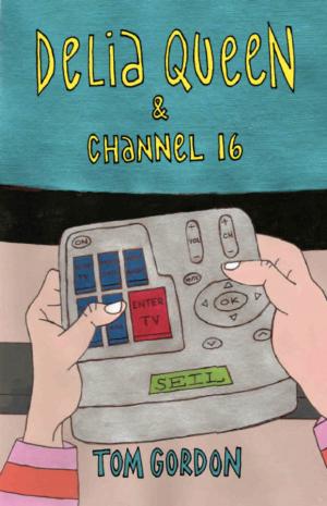bigCover of the book DELIA QUEEN & CHANNEL 16 by 