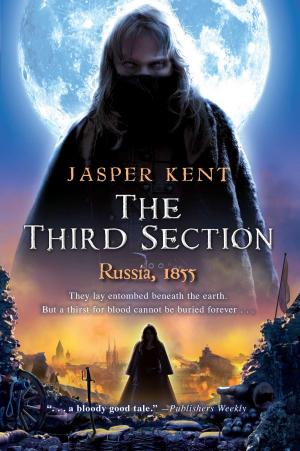 Cover of the book The Third Section by Mandy Hager