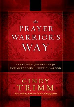 Cover of the book The Prayer Warrior's Way by Iris Delgado