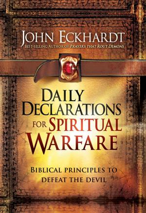 Cover of the book Daily Declarations for Spiritual Warfare by Sally Kern