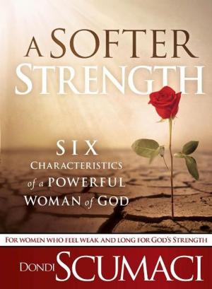 Cover of the book A Softer Strength by Jerry Boykin, Stu Weber