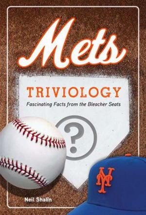 Cover of the book Mets Triviology by Lou Nanne, Jim Bruton