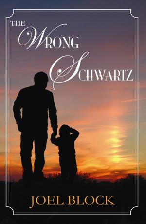 Cover of the book The Wrong Schwartz by J.S. Desiato