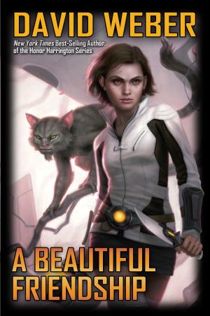 Cover of the book A Beautiful Friendship by Timothy Zahn