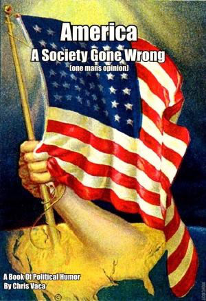 Cover of the book America A Society Gone Wrong by Gabriel Angelo