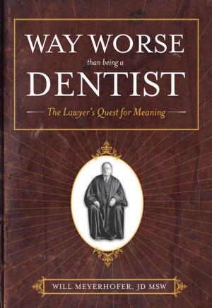 Cover of the book Way Worse Than Being A Dentist by Dawn DuVall