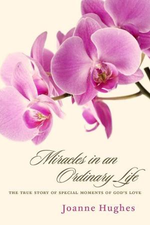 Cover of the book Miracles in an Ordinary Life by Colm McKeogh