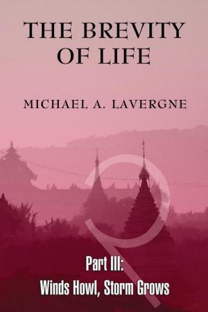 Cover of the book The Brevity of Life Part 3 by Mark Trenowden