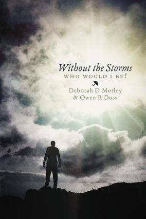 Cover of the book Without The Storms by Thea Berg
