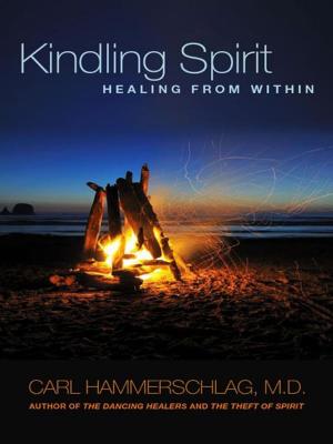 Cover of the book Kindling Spirit by Jon Elkon