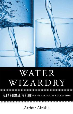 Book cover of Water Wizardry