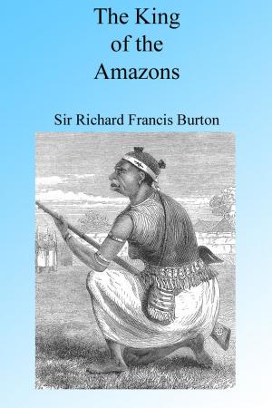 bigCover of the book The King of the Amazons by 