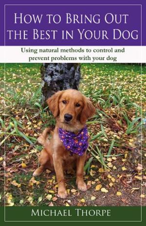 Cover of the book How to Bring Out the Best in Your Dog by Colleen A. Miller