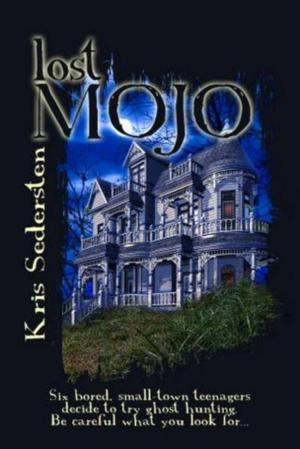 Book cover of Lost Mojo