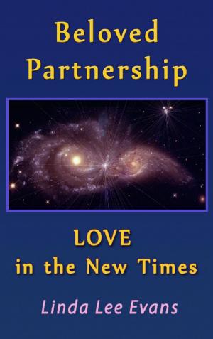 Book cover of Beloved Partnership