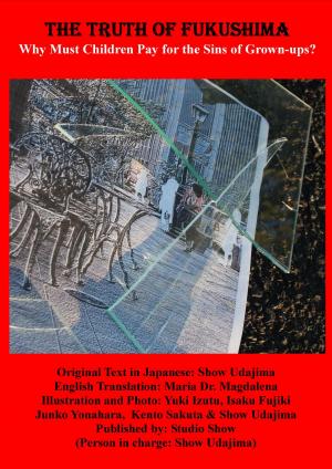 Cover of the book The Truth of Fukushima by Lester Mingo