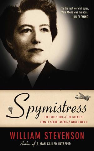 Cover of the book Spymistress by Theo Servetas