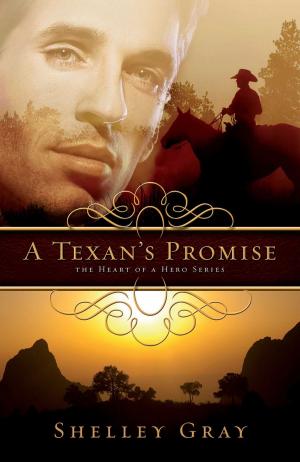 bigCover of the book A Texan's Promise by 