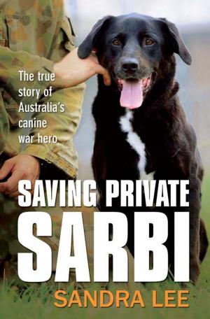 Cover of the book Saving Private Sarbi by George Jelinek, Karen Law