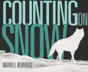 Cover of the book Counting on Snow by Susin Nielsen